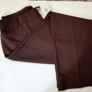 Ashley Stewart Brown Dress Pants